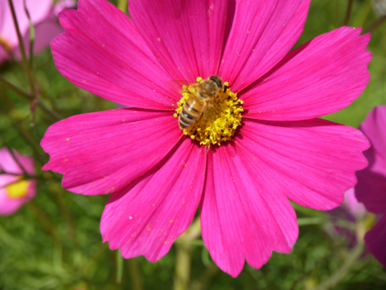 f:id:kazenokomichi:20141027215340j:plain