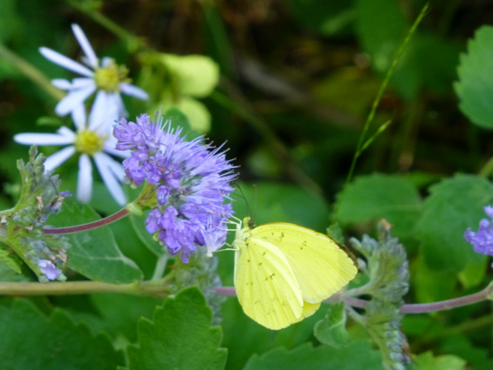 f:id:kazenokomichi:20141027220353j:plain