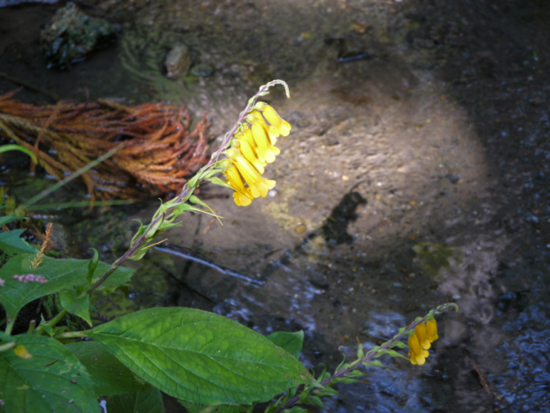 f:id:kazenokomichi:20141027220641j:plain