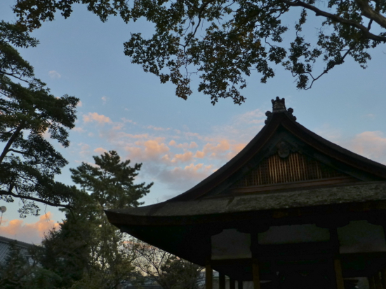 f:id:kazenokomichi:20141108221916j:plain