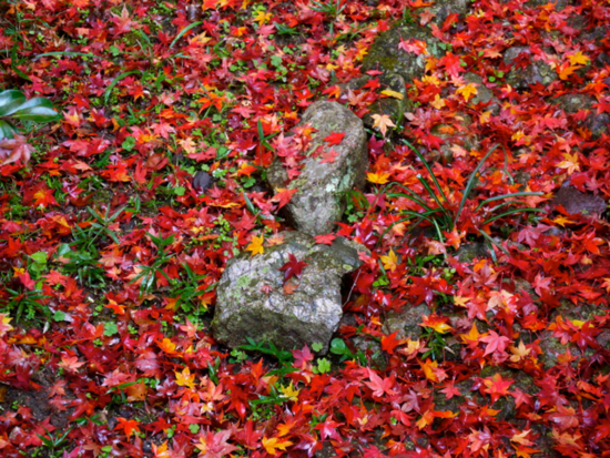 f:id:kazenokomichi:20141205103714j:plain