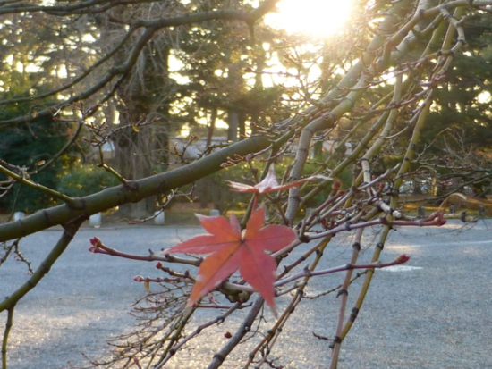 f:id:kazenokomichi:20141221225546j:plain