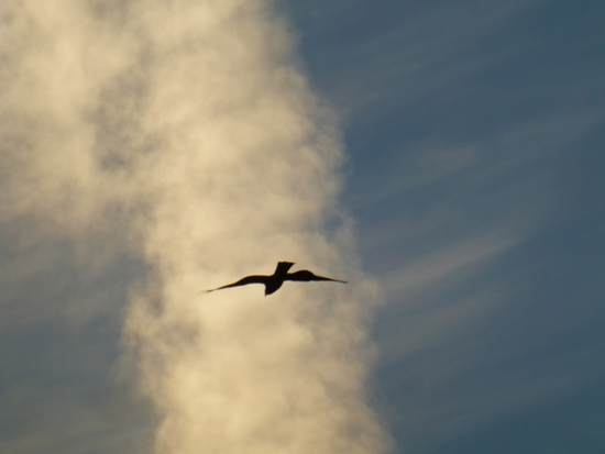 f:id:kazenokomichi:20141221232614j:plain