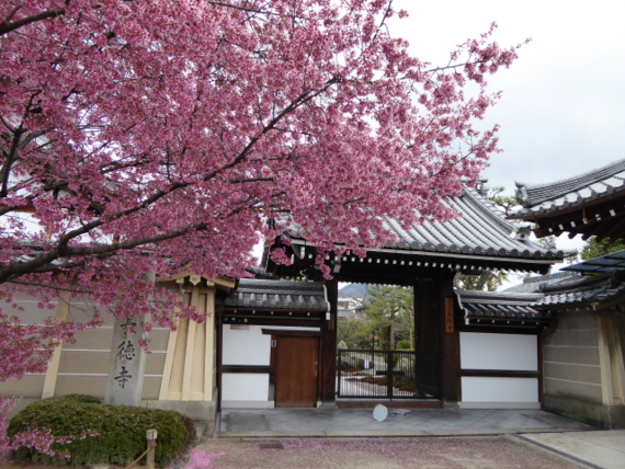 f:id:kazenokomichi:20150326004855j:plain f:id:kazenokomichi:20150326004855j:plain