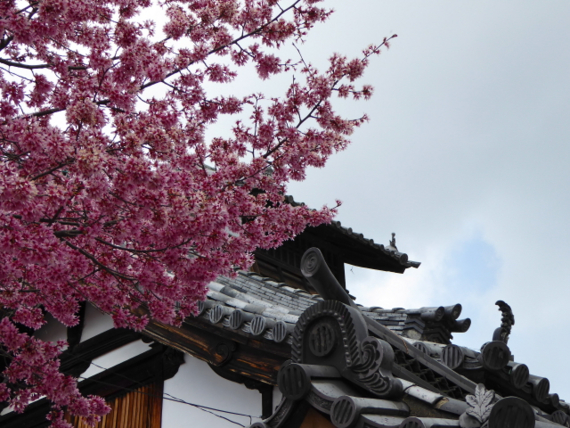 f:id:kazenokomichi:20150326004904j:plain f:id:kazenokomichi:20150326004904j:plain