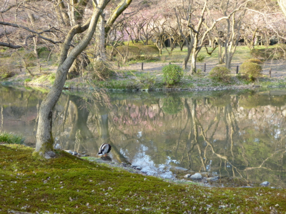 f:id:kazenokomichi:20150328022629j:plain