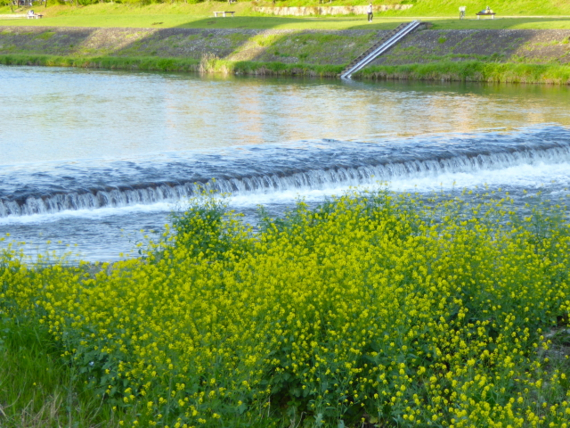 f:id:kazenokomichi:20150426023648j:plain