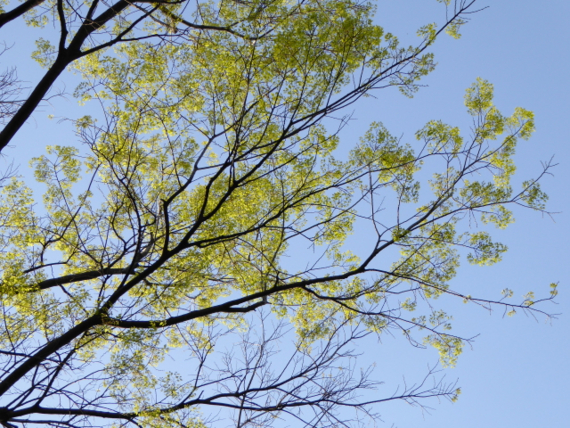 f:id:kazenokomichi:20150426024224j:plain