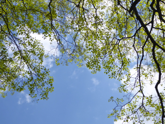 f:id:kazenokomichi:20150426024528j:plain