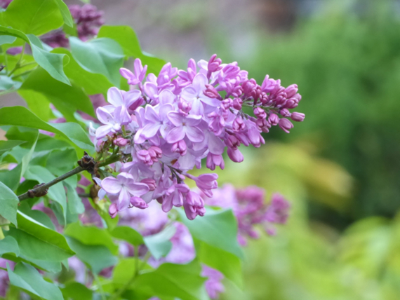 f:id:kazenokomichi:20150426024626j:plain