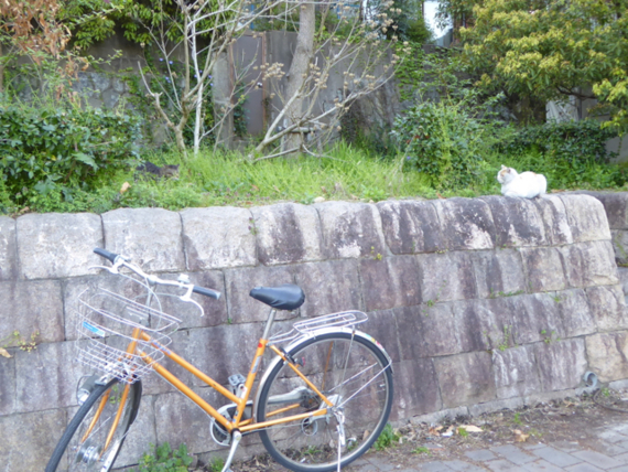 f:id:kazenokomichi:20150426025430j:plain