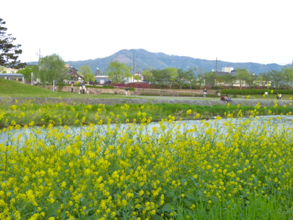 f:id:kazenokomichi:20150427040437j:plain