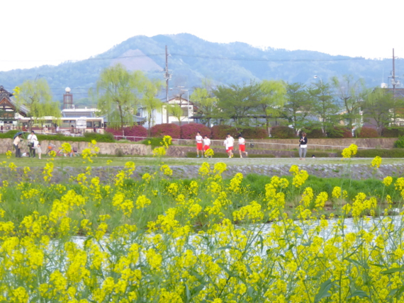 f:id:kazenokomichi:20150427040544j:plain