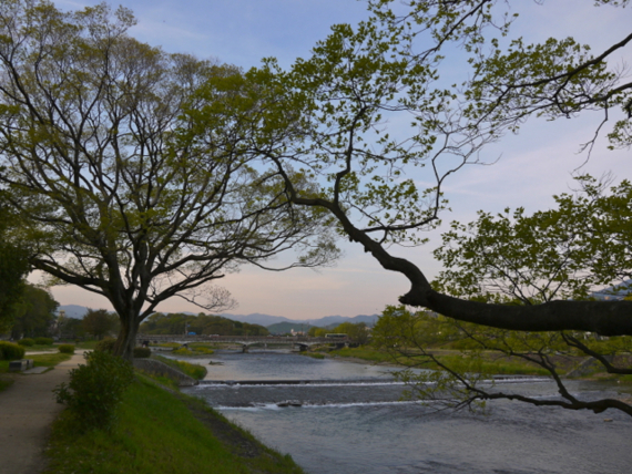 f:id:kazenokomichi:20150427040840j:plain