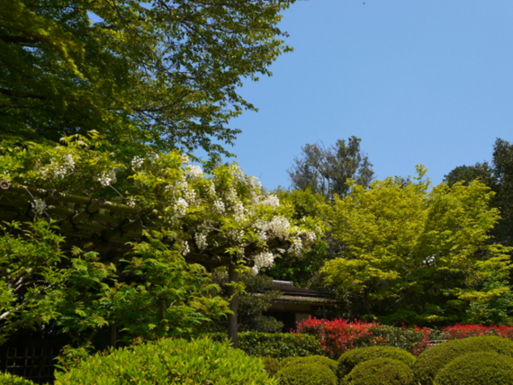 f:id:kazenokomichi:20150518095417j:plain
