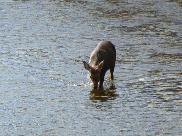 f:id:kazenokomichi:20160115200903j:plain