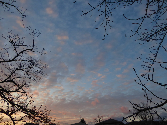 f:id:kazenokomichi:20160130185621j:plain