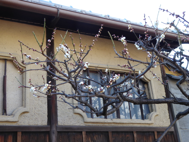 f:id:kazenokomichi:20160211164550j:plain