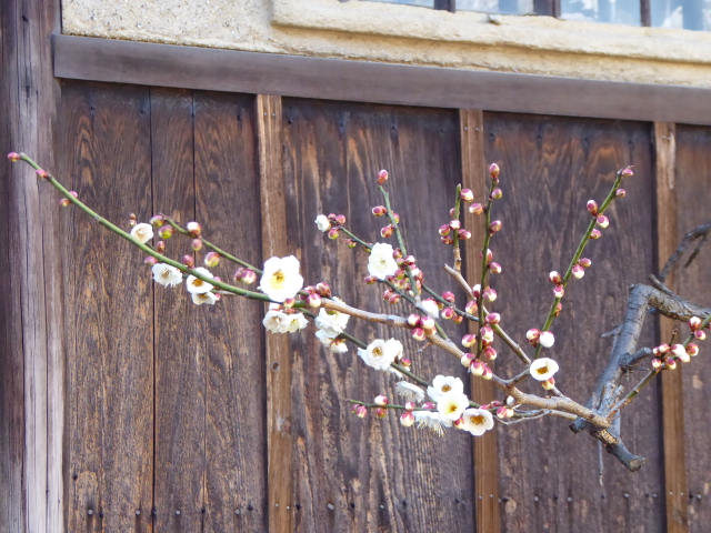 f:id:kazenokomichi:20160211164614j:plain