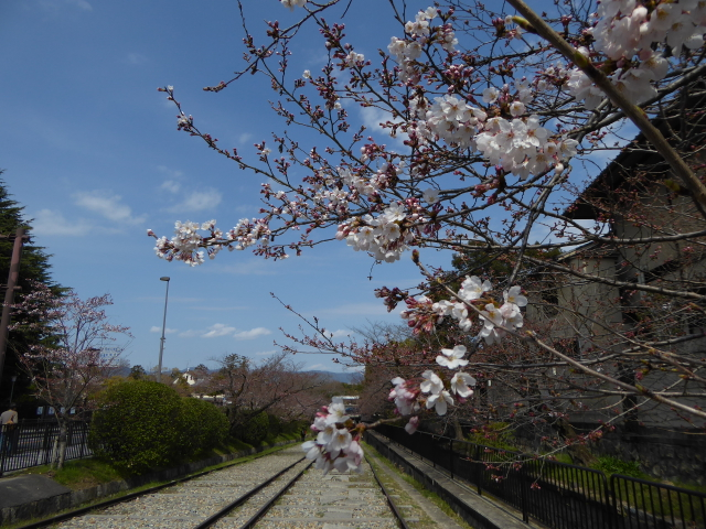 f:id:kazenokomichi:20160330114306j:plain f:id:kazenokomichi:20160330114306j:plain