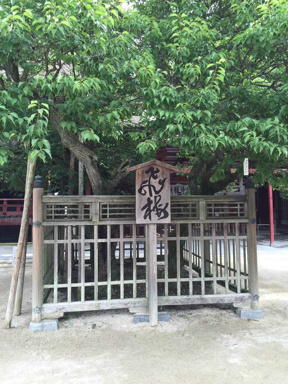 f:id:kazu711:20150614191247j:image f:id:kazu711:20150614191247j:image
