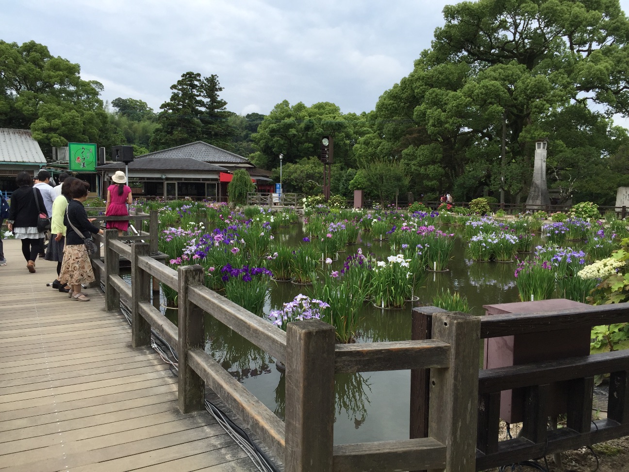 f:id:kazu711:20150614191312j:image f:id:kazu711:20150614191312j:image