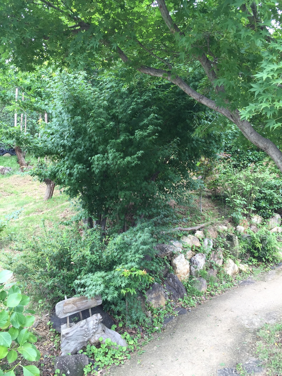 f:id:kazu711:20150713170811j:image f:id:kazu711:20150713170811j:image