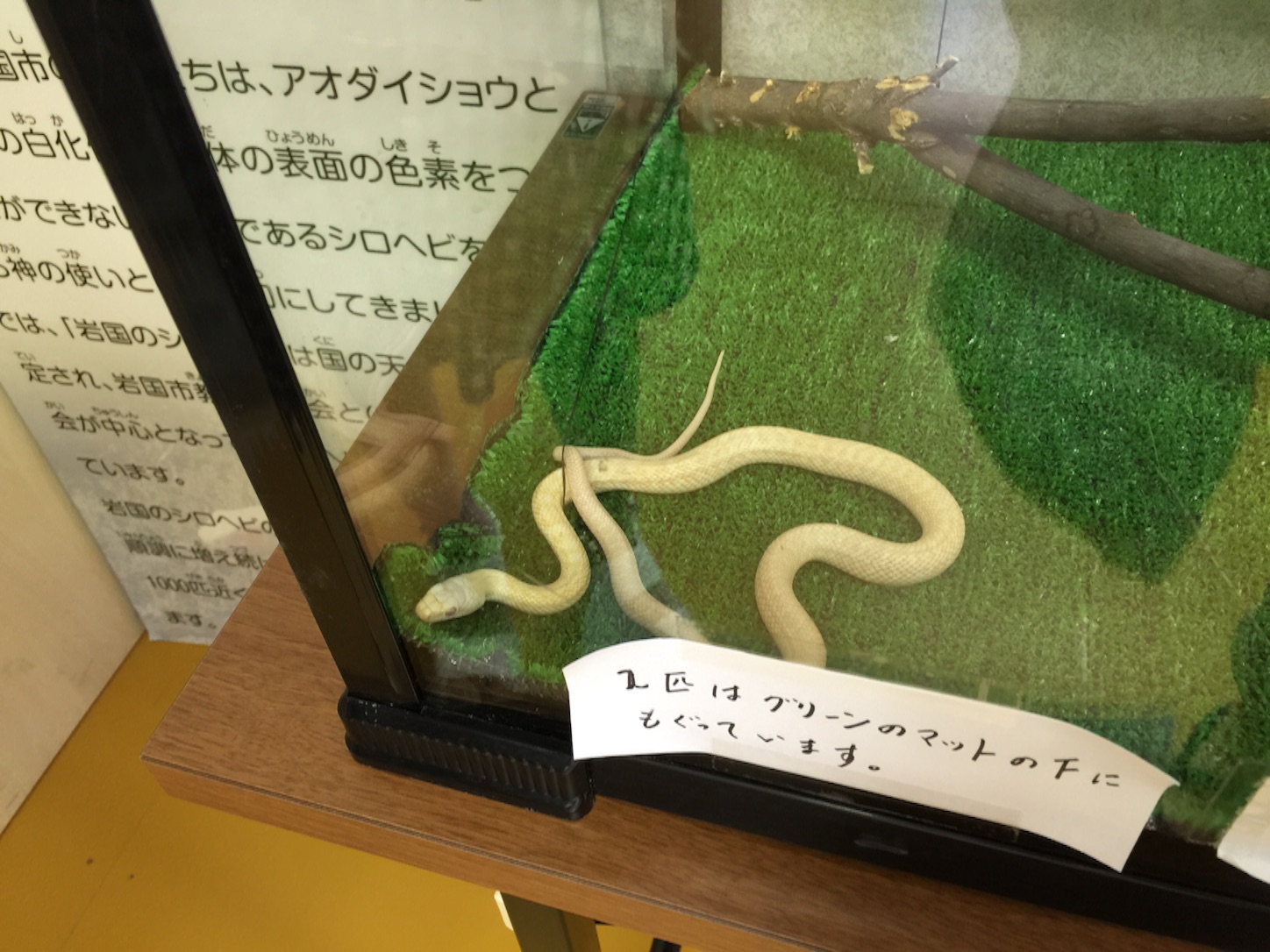 f:id:kazu711:20150823215801j:image f:id:kazu711:20150823215801j:image