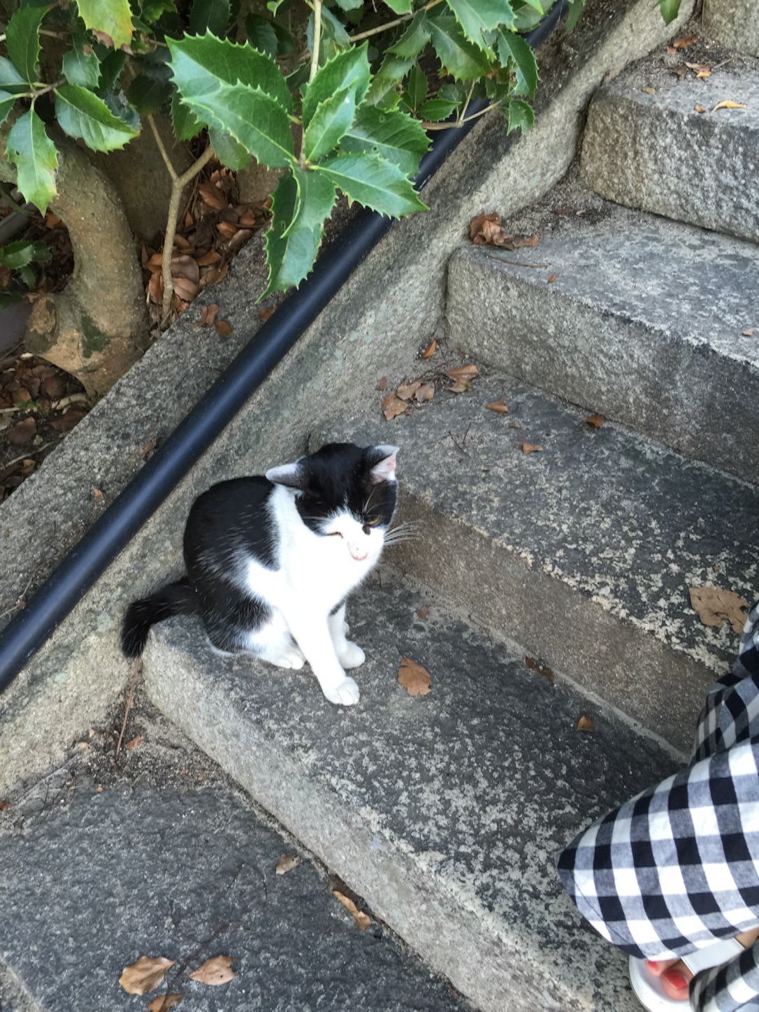 f:id:kazu711:20150823225453j:image f:id:kazu711:20150823225453j:image