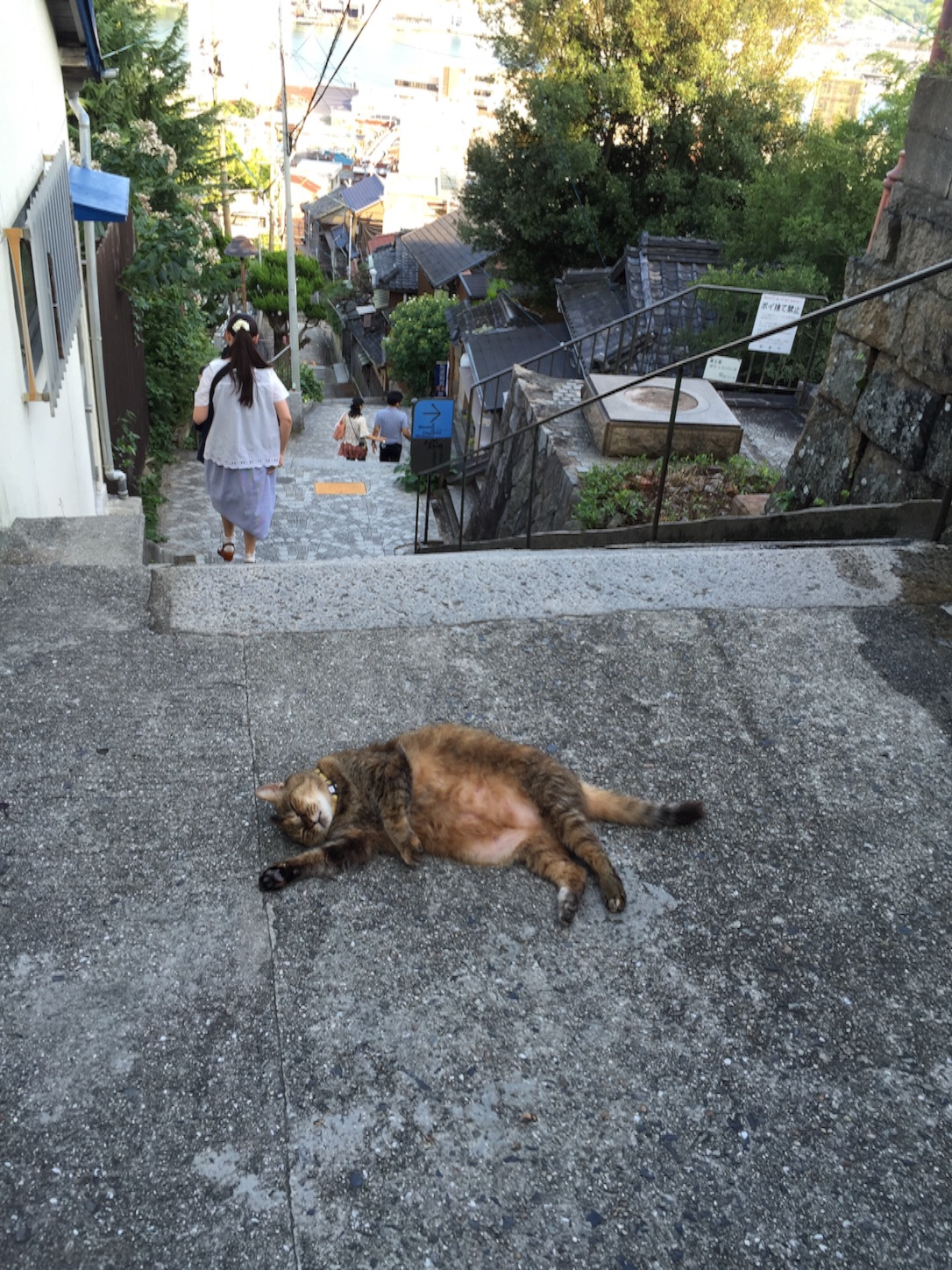 f:id:kazu711:20150823225524j:image f:id:kazu711:20150823225524j:image