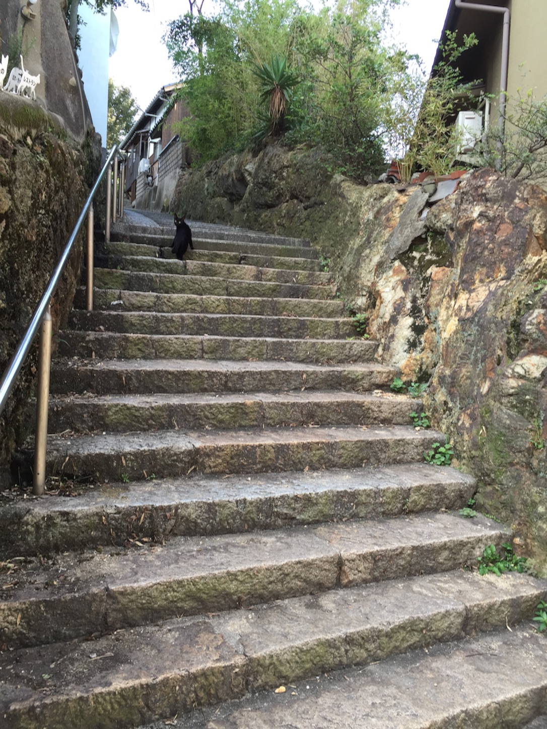 f:id:kazu711:20150825090546j:image f:id:kazu711:20150825090546j:image