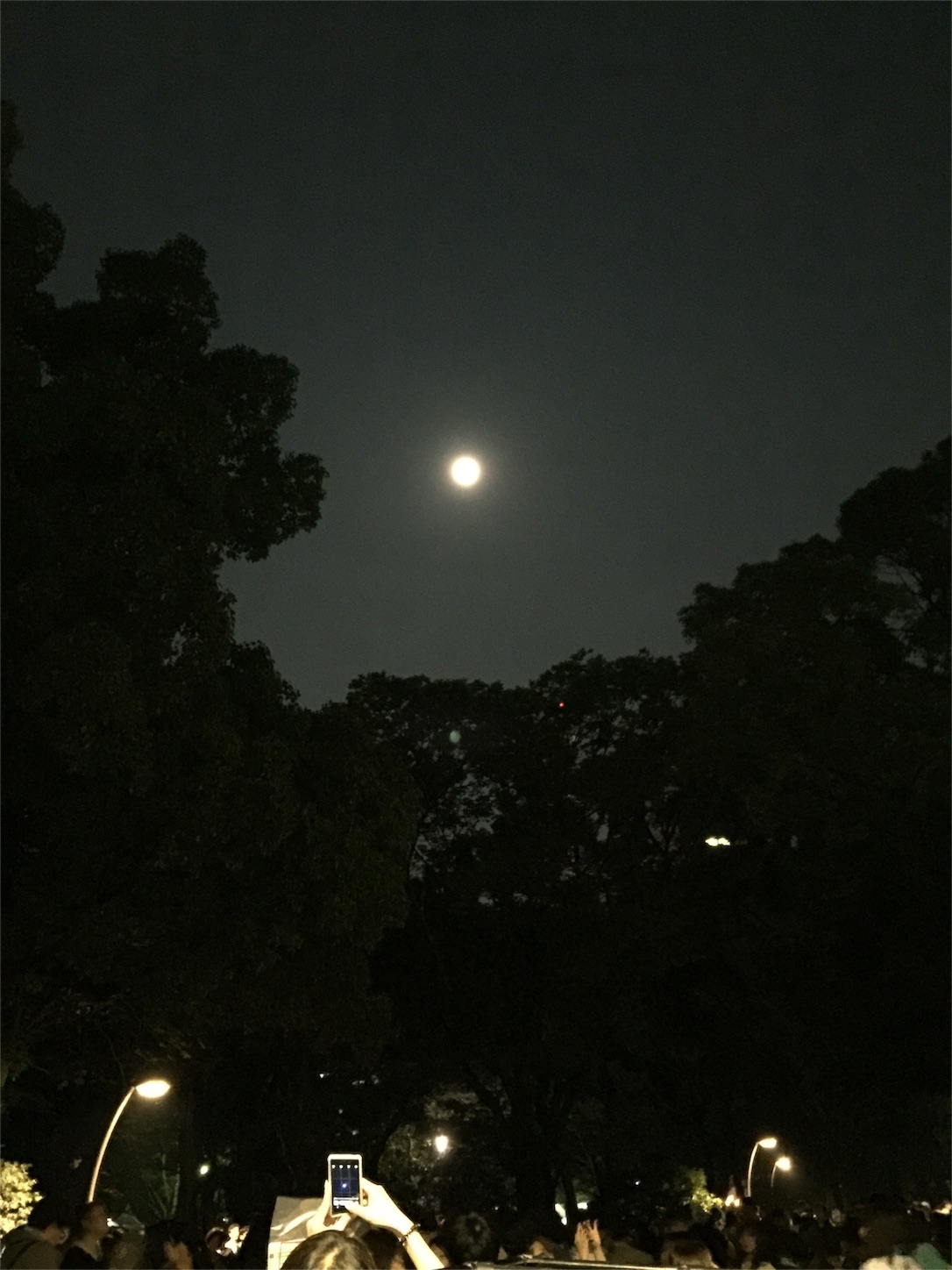 f:id:kazu711:20150928093025j:image f:id:kazu711:20150928093025j:image