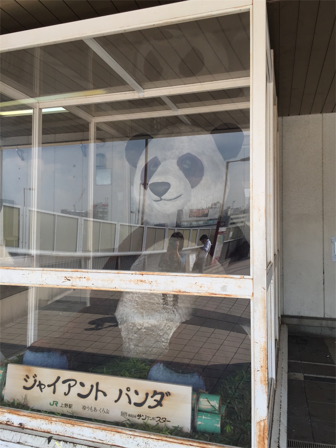 f:id:kazu711:20150928190335j:image f:id:kazu711:20150928190335j:image