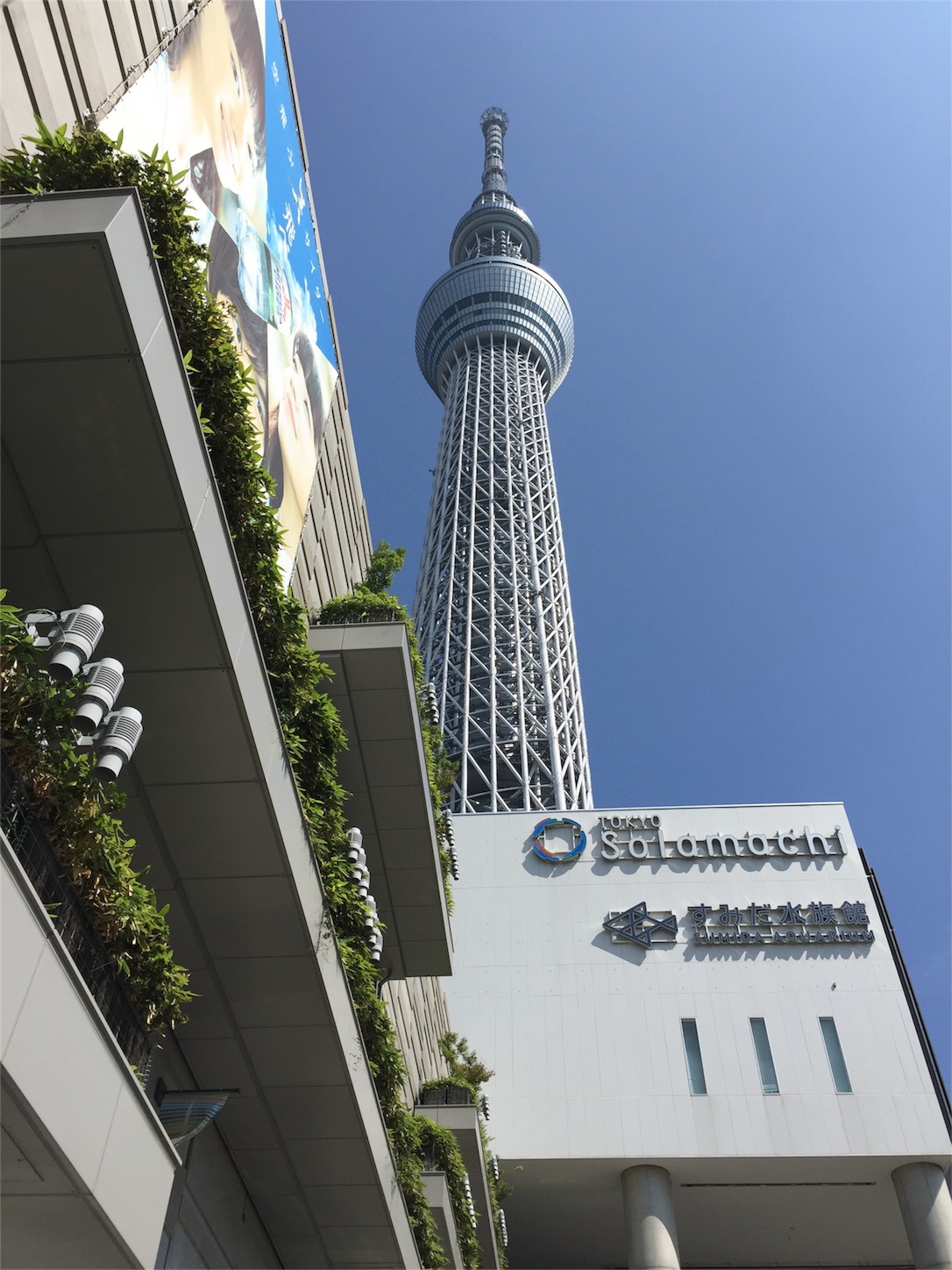 f:id:kazu711:20150928194714j:image f:id:kazu711:20150928194714j:image