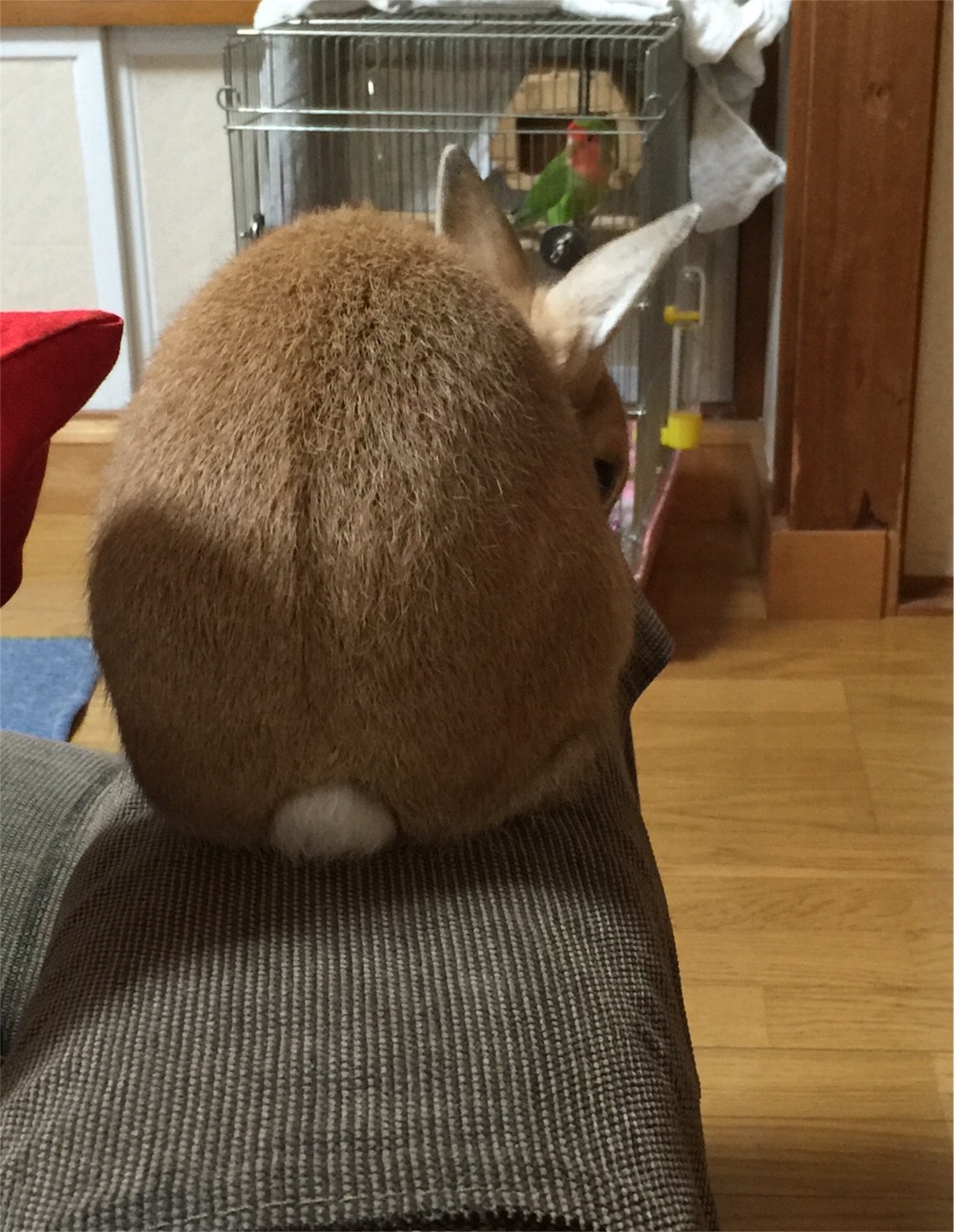 f:id:kazu711:20151025222206j:image f:id:kazu711:20151025222206j:image