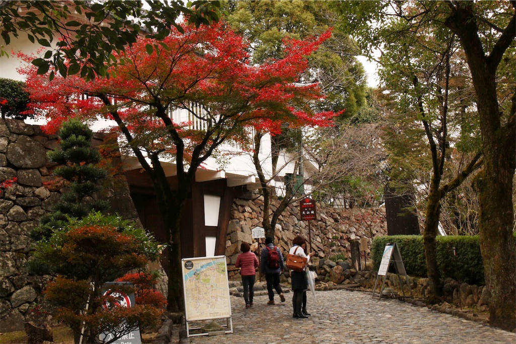 f:id:kazu_ki:20151129140040j:image f:id:kazu_ki:20151129140040j:image