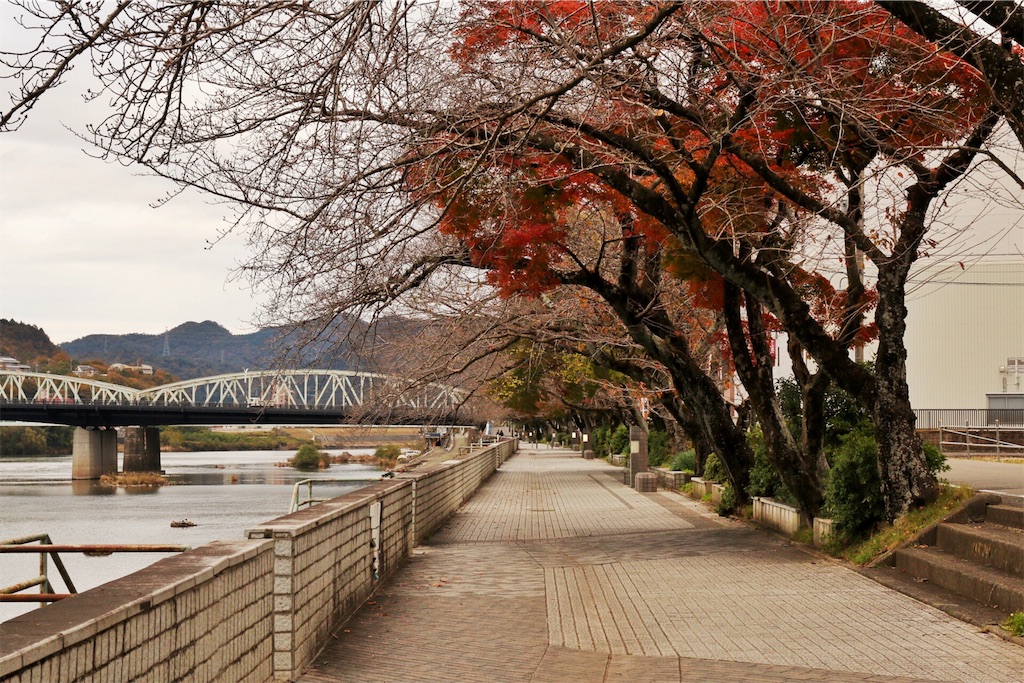 f:id:kazu_ki:20151202031558j:image f:id:kazu_ki:20151202031558j:image