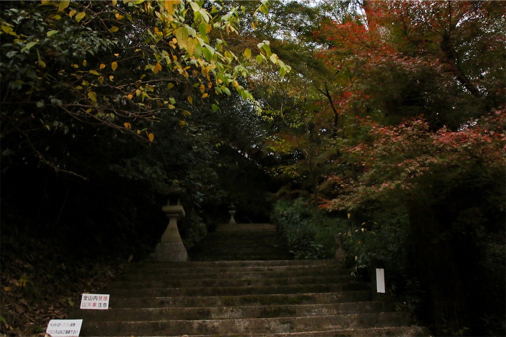 f:id:kazu_ki:20151209121804j:image f:id:kazu_ki:20151209121804j:image