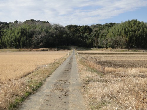 f:id:kazu_ma634:20111106025402j:image f:id:kazu_ma634:20111106025402j:image