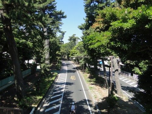 f:id:kazu_ma634:20111106135455j:image f:id:kazu_ma634:20111106135455j:image