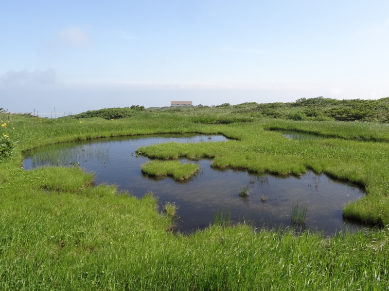 f:id:kazu_ma634:20120815000147j:image:w400 f:id:kazu_ma634:20120815000147j:image:w400