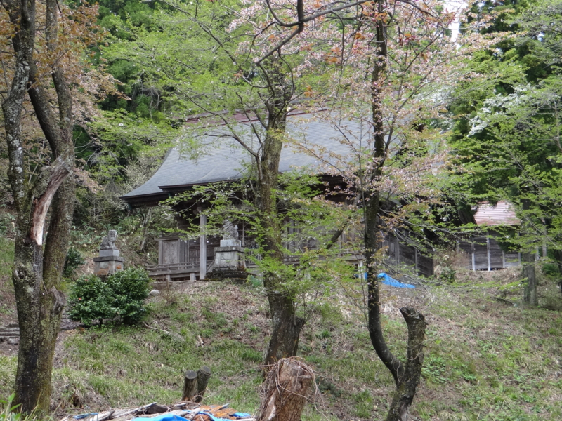 f:id:kazu_ma634:20130526204856j:image:w400 f:id:kazu_ma634:20130526204856j:image:w400