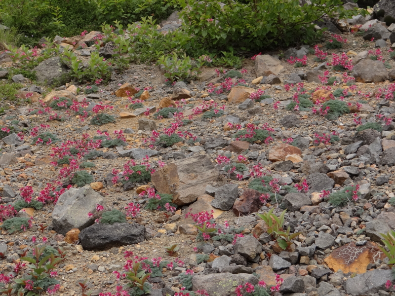 f:id:kazu_ma634:20130728141756j:image:w400 f:id:kazu_ma634:20130728141756j:image:w400