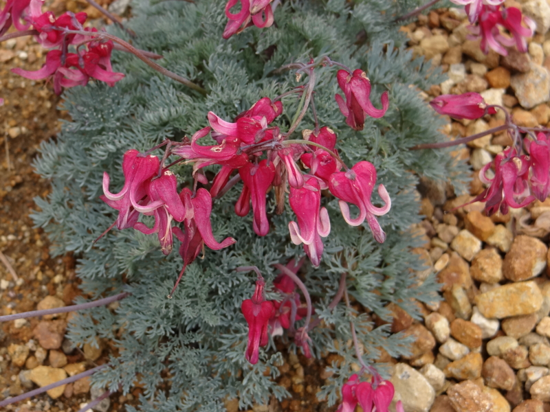 f:id:kazu_ma634:20130728141757j:image:w400 f:id:kazu_ma634:20130728141757j:image:w400