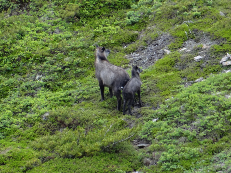 f:id:kazu_ma634:20130728141758j:image:w400 f:id:kazu_ma634:20130728141758j:image:w400