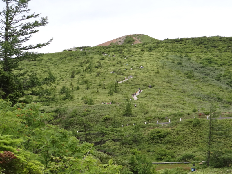 f:id:kazu_ma634:20130728145335j:image:w400 f:id:kazu_ma634:20130728145335j:image:w400