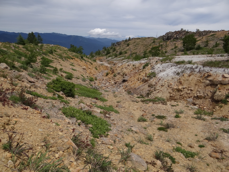 f:id:kazu_ma634:20130728145338j:image:w400 f:id:kazu_ma634:20130728145338j:image:w400