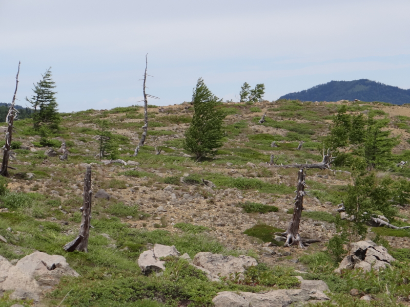 f:id:kazu_ma634:20130728145340j:image:w400 f:id:kazu_ma634:20130728145340j:image:w400