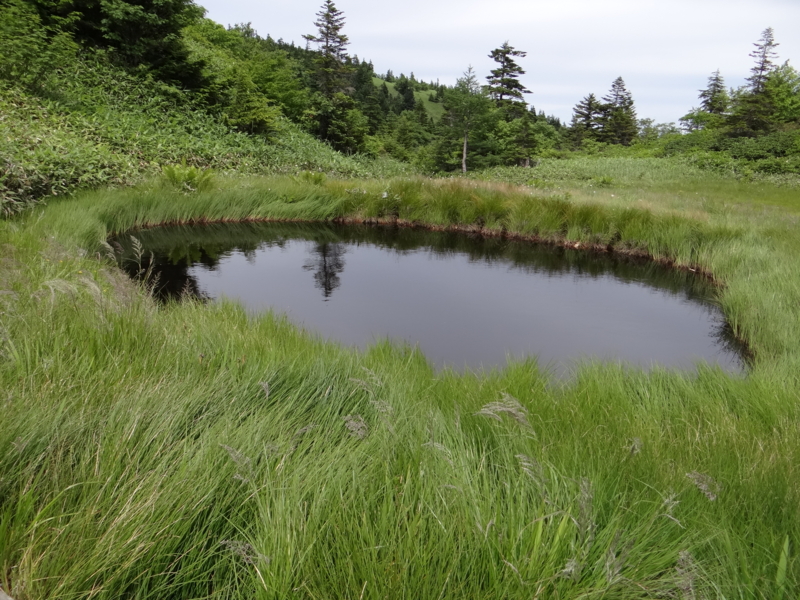 f:id:kazu_ma634:20130728151544j:image:w400 f:id:kazu_ma634:20130728151544j:image:w400