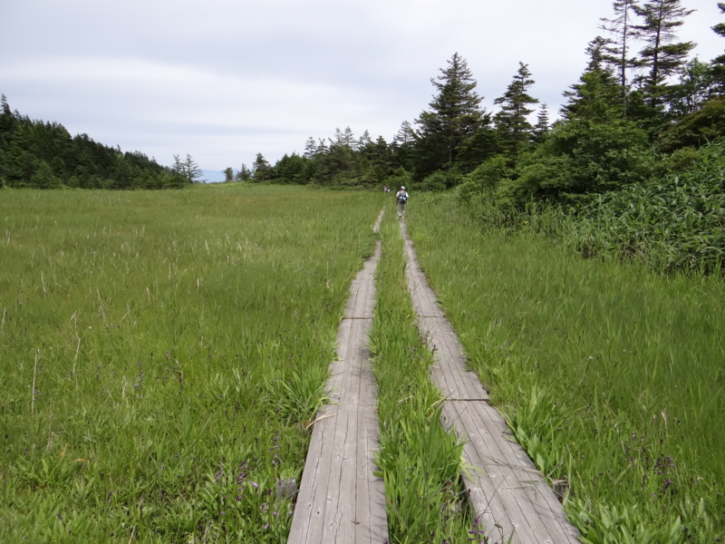 f:id:kazu_ma634:20130728151545j:image:w400 f:id:kazu_ma634:20130728151545j:image:w400